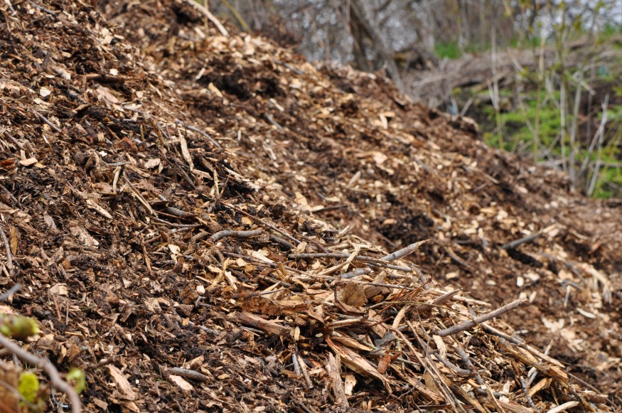 mulch