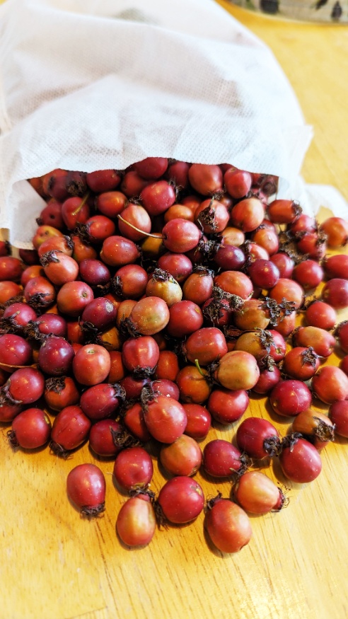 hawthorn berries