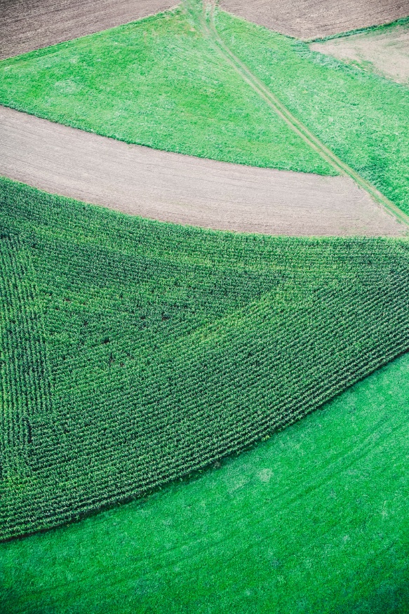 cover crops