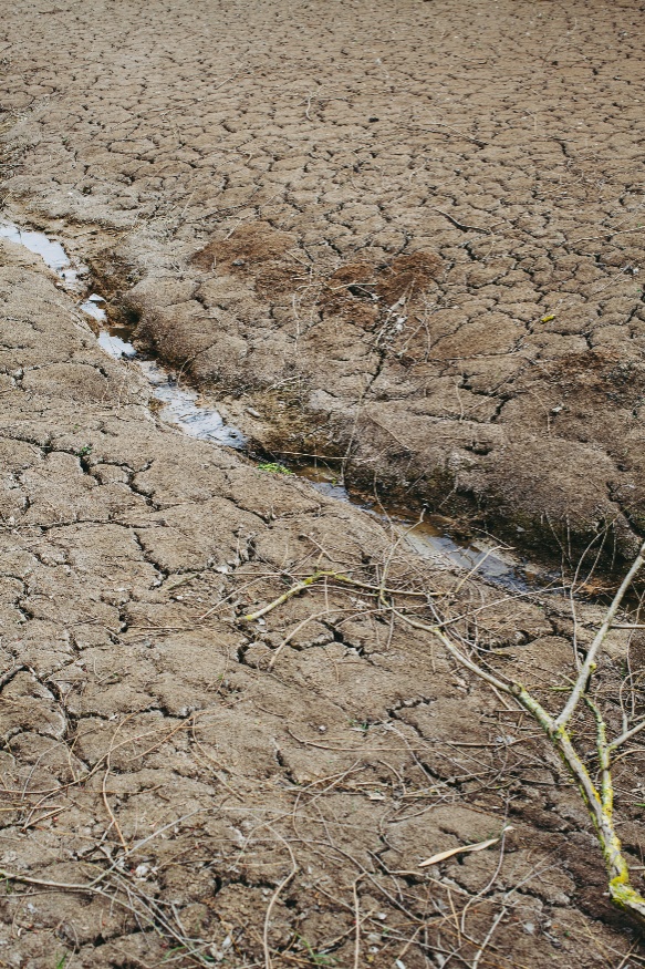 compacted soil