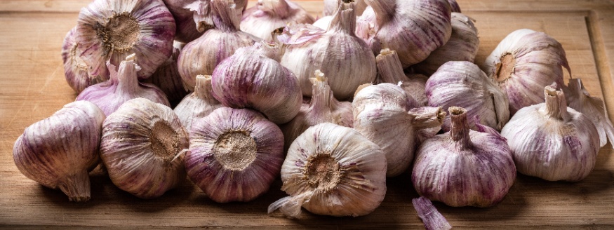 garlic